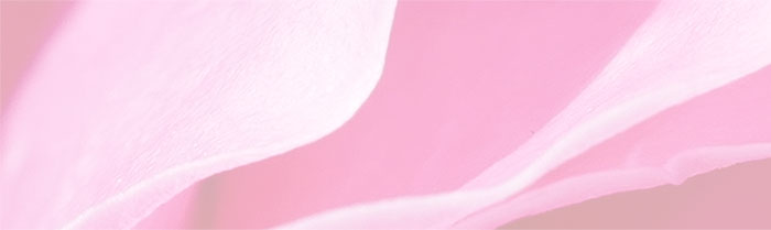 naturheilpraxis-waltraud-berchtenbreiter-therapieangebote-hintergrund-kleiner